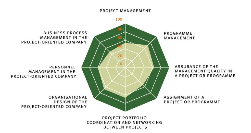 Roland Gareis Project Maturity Model