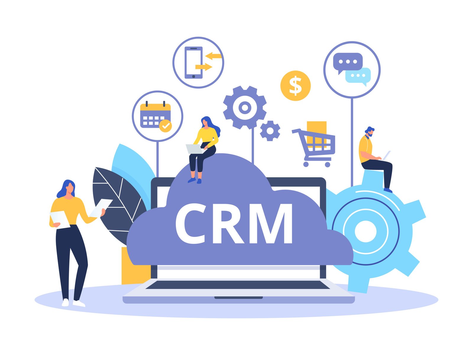 Customer Relationship Management (CRM) Model