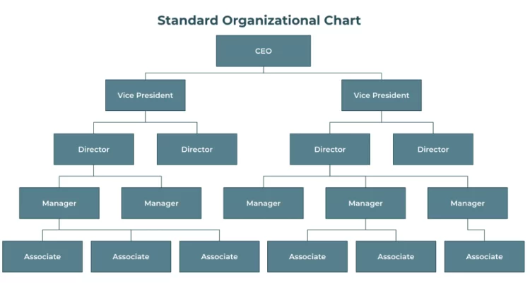 Organizational Chart – Meaning, Definition, Features, Types, Advantages and Limitations