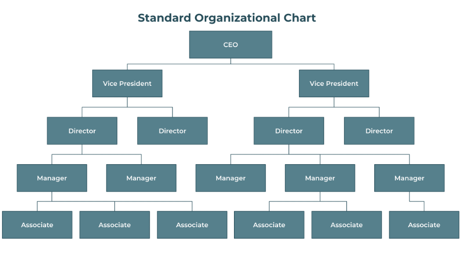 Organizational Chart - Meaning, Definition, Features, Types, Advantages ...