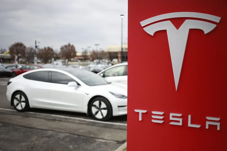 Case Study on Tesla's Challenges Despite Success