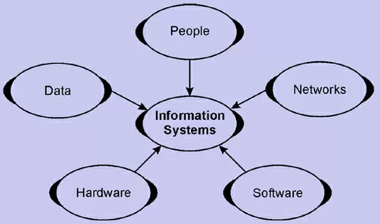 Components of an Information System