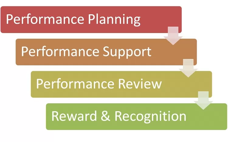 Performance Management Process