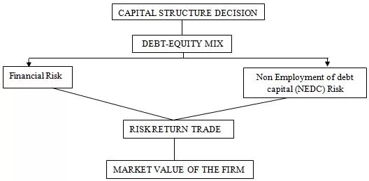 Capital Structure and Risk-Return Tradeoff