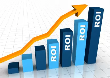 Return on Investment (ROI) to Assess the Performance of Organizations