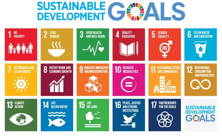 Sustainable Development Goals (SDGs) – An Overview