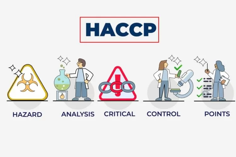 Hazard Analysis and Critical Control Points (HACCP) – Need, Principles and Implementation