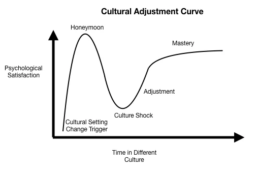 Phases or Stages of Cultural Adjustment in International Business